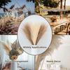 Runtow 10pcs Artificial Reed Grass ,55cm Fluffy Artificial Fake Flower Bulrush Reed Grass ,Pampas Grass Wedding Party Decor