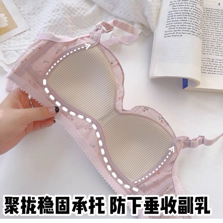 Japanese steel rim underwear bra women's small breasts thin summer cute sweet no new models development period students high school