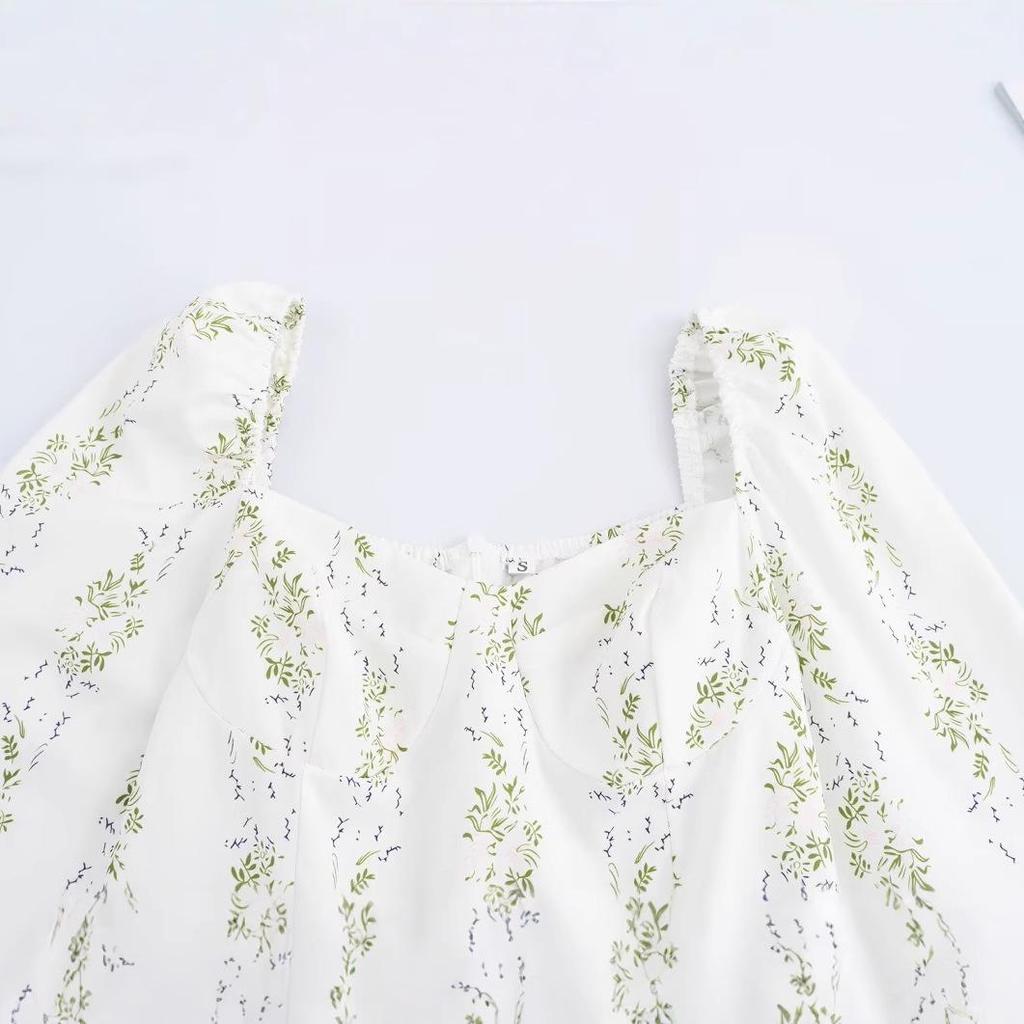 2025 Spring Women's European & American Style Casual Print Waist-Hugging Long Dress