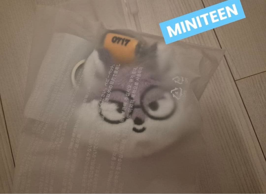 

[USED] MINITEEN Seventeen Wonwoo Key Ring