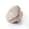 Sanwa Supply MA-EBBS522BG Quiet Bluetooth Compact Ergonomic Mouse (Rechargeable, 5 Buttons, Beige)