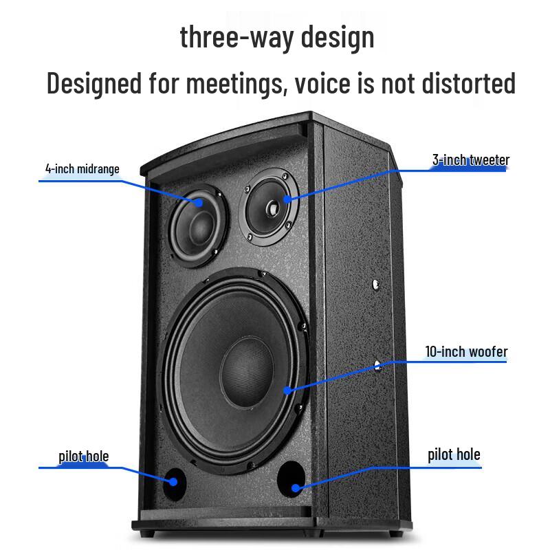 SAST K5V Dual 10-inch Speaker System (CN version)