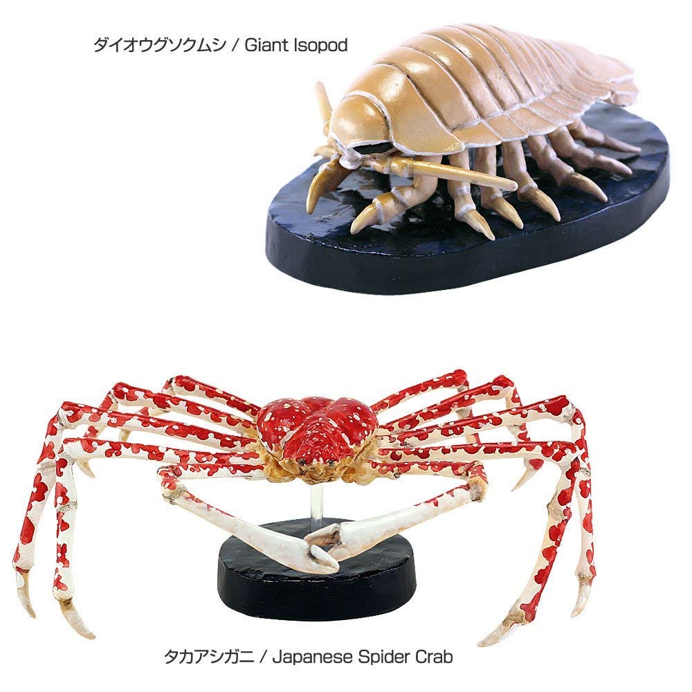 Calorata Deep Sea Creatures 3D Encyclopedia Crab 8 Species Includes Instruction Manual and Realistic Figures Birthday Present Gift Sanitation Law Toy