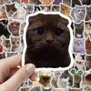 100 Pcs Cute Cat Stickers for Kids Boys Girls Waterproof Cat Meme Decals for Laptop Skateboard Luggage Car Bumper Water Bottle Decor