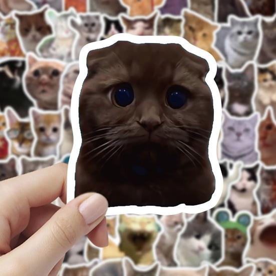 100 Pcs Cute Cat Stickers for Kids Boys Girls Waterproof Cat Meme Decals for Laptop Skateboard Luggage Car Bumper Water Bottle Decor