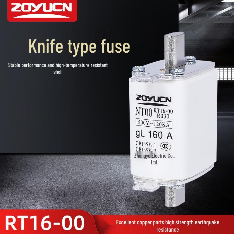 

Zhongyu RT16-00 NT00 Low Voltage Ceramic Fuse Core (80A-160A) 32A