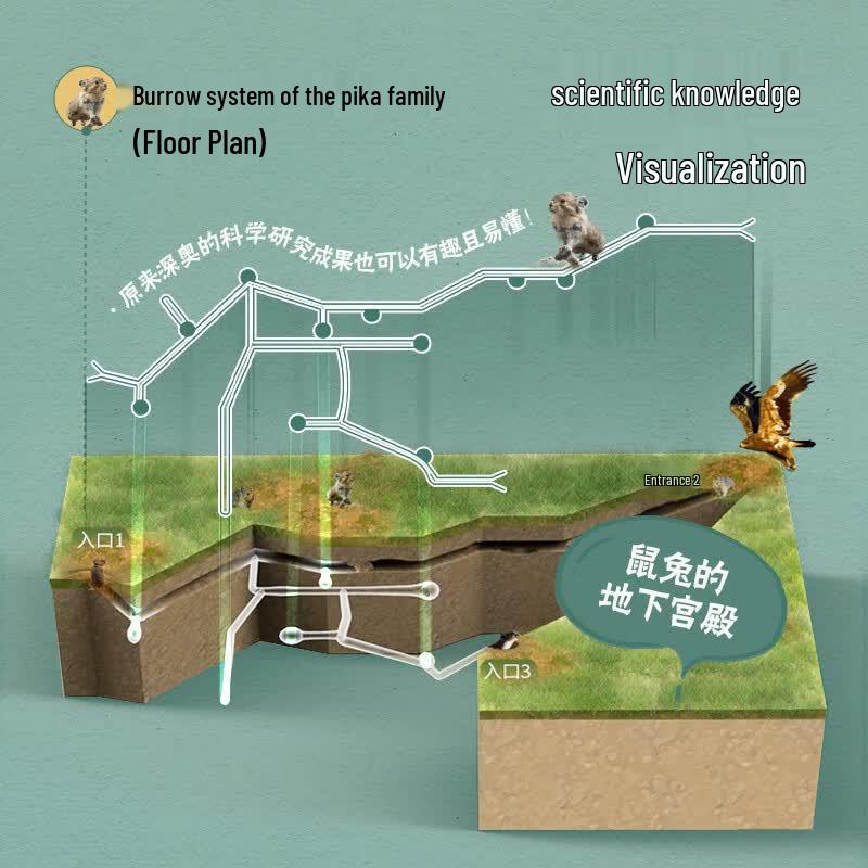 Beidou Children's Animal Map of China