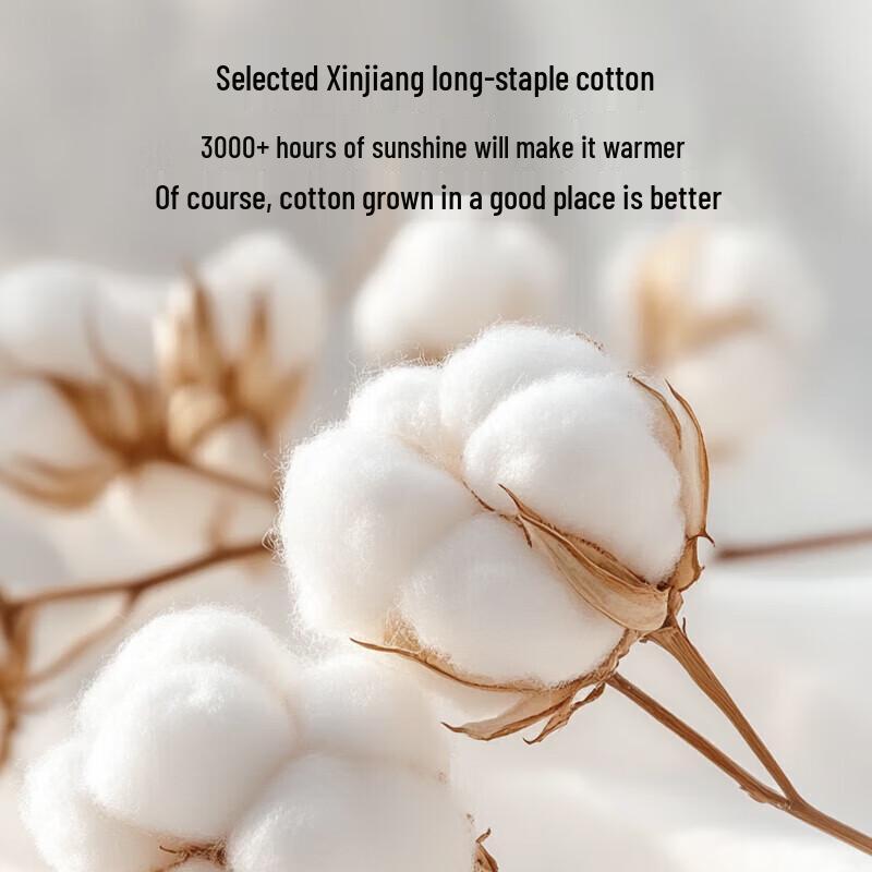 HLA Summer Xinjiang Cotton Quilt