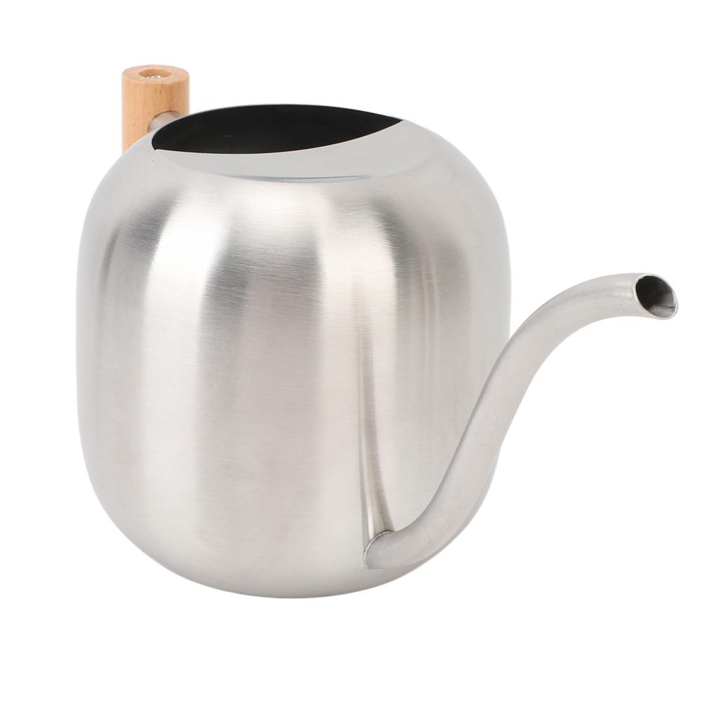 Watering Can Stainless Steel Long Spout Splash Proof with Wood Handle Plant Watering Can for