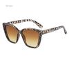 1PCS Women Plastic Large Cat Eye SunGlasses For Daily School Beach Travel Party Clothing Accessories