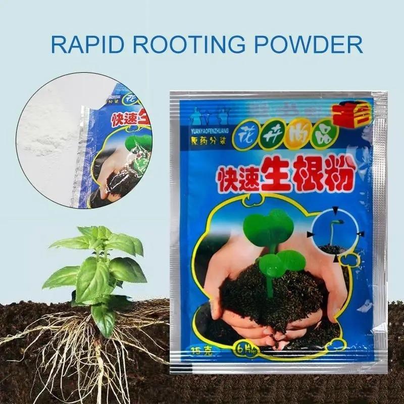 5 Pezzi Polvere per Radicazione Rapida Agente Radicante Rapido per Piante Ormone Crescita Radici Germinazione Semi Piantine Per la Maggior Parte delle Piante Forniture da Giardino