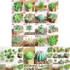 Compact Realistic-looking Fake Succulent For Indoor And Outdoor Decoration