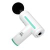 MiGo J11 Professional Massage Gun CN plug (adapter included)