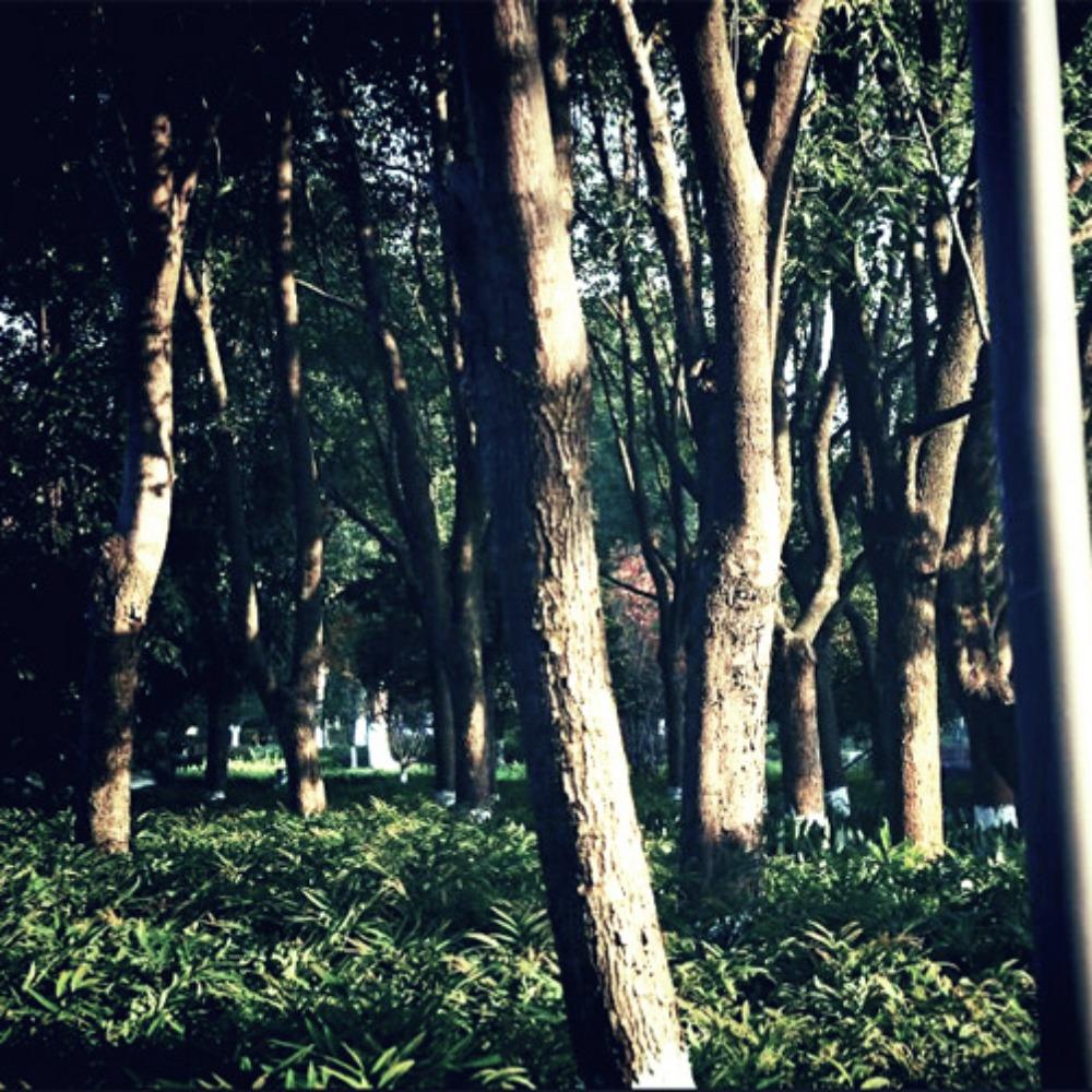 35mm Waterproof Lomo Camera Reusable Cute Children Film Camera Children Retro Camera Photograph