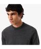 LACOSTE Men'S Merino Wool Crew Neck Sweater Ah1969-55N 050
