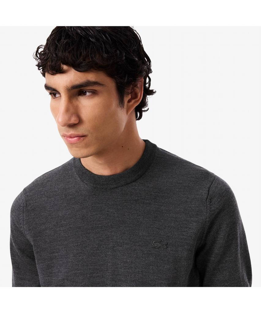 LACOSTE Men'S Merino Wool Crew Neck Sweater Ah1969-55N 050