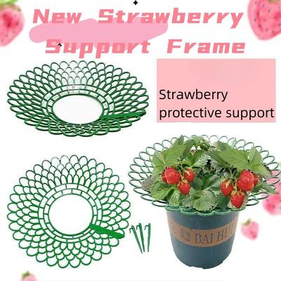 Supporto per vassoio di piantagione di fragole Giardinaggio famiglia di frutta in vaso pianta verde giunzione anti-marciume ripiano per frutta supporto a cremagliera Vassoio per verdure in vaso