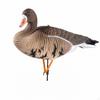 Goose Decoy with Stake Realistic Model HandPainted Waterfowl Attractants for Hunters, Hunting,
