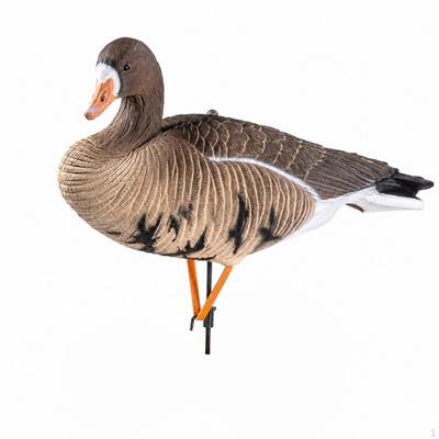 Goose Decoy with Stake Realistic Model HandPainted Waterfowl Attractants for Hunters, Hunting,
