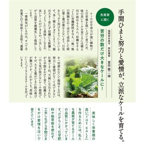 Q'SAI Green Juice The Kale 7g X 30 Bottles (2 Boxes)