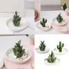 Ceramic Aloe Cactus Rings Holder Trinkets Tray Earrings Necklace Jewelry Organizers Christmas Birthday Gift for Women