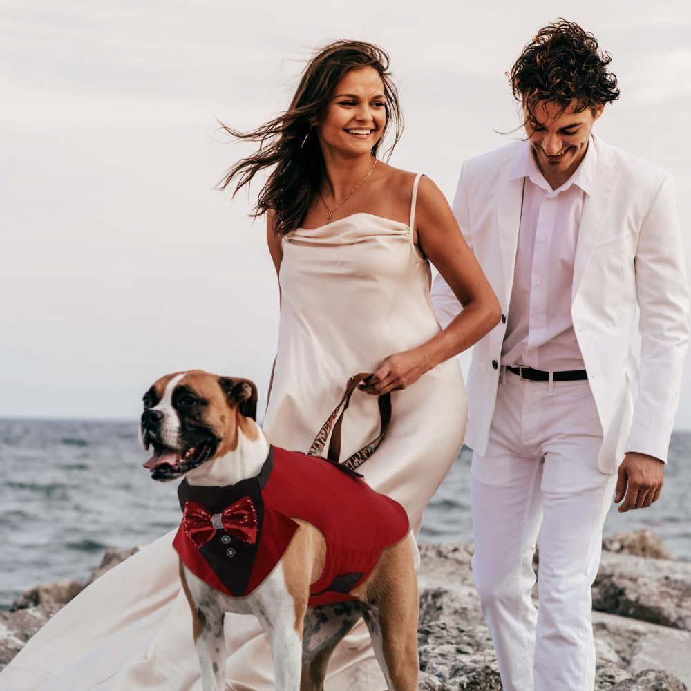 Heißer Verkauf Hundehochzeitshut und Smoking Anzug für Herren Haustiere