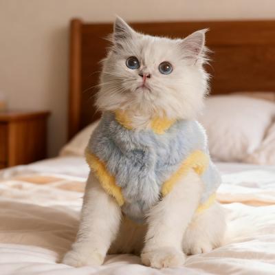 Katzen Flauschige Weste Winter Warmes Outfit Katze Alltagsausgehkleidung Flauschiger Haustiermantel Niedlicher Hunde Pullover für Mädchen Jungen Kätzchen Welpen Kleine Hunde