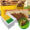Foam Bee Box Queen Bee Breeding Box Bee Pollination Box Queen Bee Rearing Beehive Beekeeper Suppliers