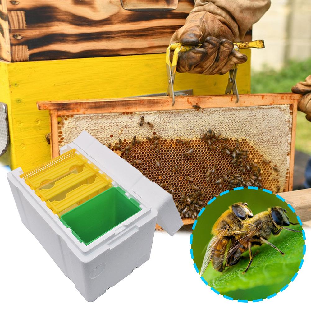 Foam Bee Box Queen Bee Breeding Box Bee Pollination Box Queen Bee Rearing Beehive Beekeeper Suppliers