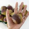 Gift Mini Simulation Fig Ornament Lifelike Funny Artificial Fig Handicrafts Fruit Model Fruit Prop Teaching