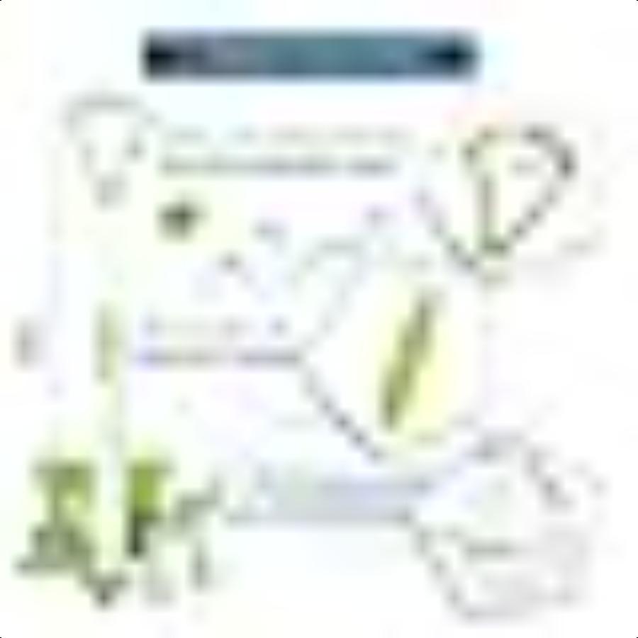 

3 шт. Очиститель языка Мягкий скребок для языка Средства для ухода за полостью рта Наборы зубных скребков Профессиональный Устраняет неприятный запах изо рта Премиальная чистота United States