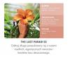 Yankee Candle Small Jar The Last Paradise 104