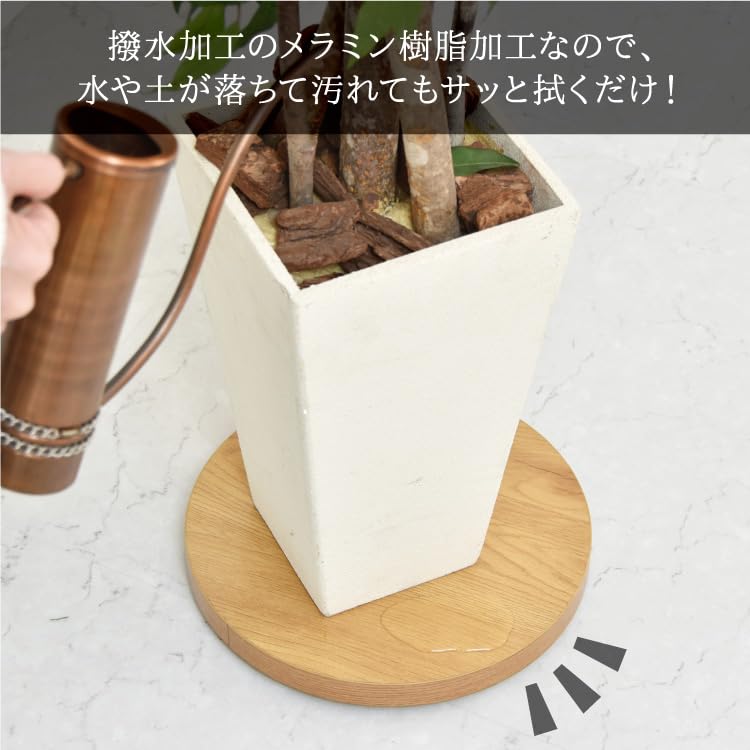 Belca Flower Stand Planter Base with Casters Diameter 30 X Height 3.5cm Natural Round Pot Holder Load Capacity 25kg Movable BB-PB-NR