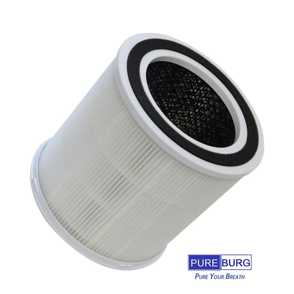 PUREBURG Replacement HEPA Filter Compatible with DAYETTE AP301 AP302 Airrobo AR400 FRESHDEW AP302 Air Pack of 2 AP301&JOWSET AP303(KJ4-2S/KJ3-2S) & &