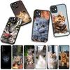 Blue Cat Green Eyes Meow Phone Cover for Apple iPhone 16 15 14 Plus 13 12 Mini 17 Pro Max + ProMax 16E Air Case