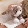 6 Colour Stuffed Plush Toy Lying Prone Simulation Cat Plush Doll Latest Cat Plush Toys  Home Decor