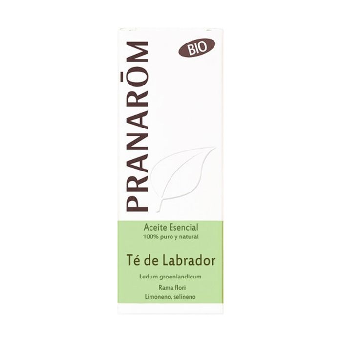 Pranarom Huile Essentielle Bio Lédon du Groenland 5ml