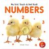 My First Book of Touch And Feel Numbers : Touch And Feel Board Book For CHildren