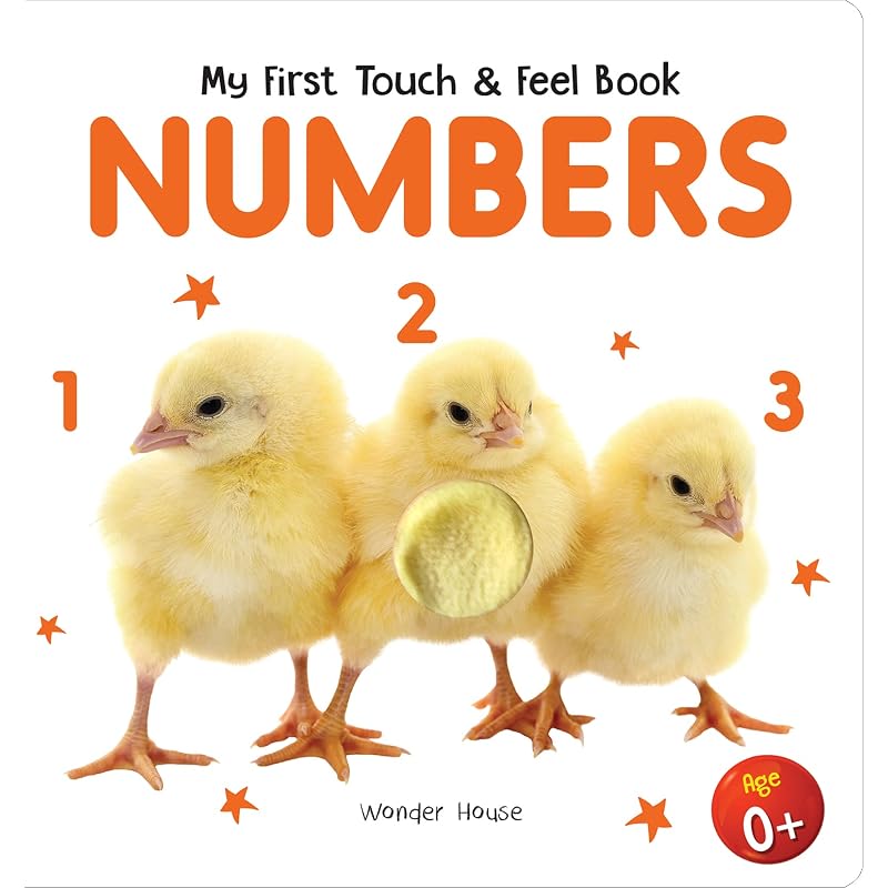 My First Book of Touch And Feel Numbers : Touch And Feel Board Book For CHildren