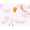 FLORTTE - Small Bowknot Series Lip Cream (4-6)