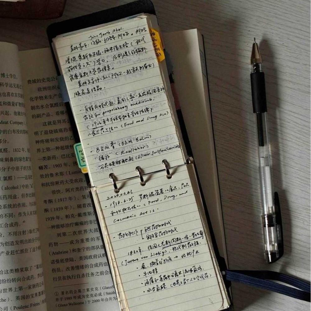 Quaderno a fogli mobili con 3 fori Mini Quaderno di Cancelleria Tascabile Quaderno per Diario a Mano