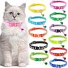 Wholesale Collars for Cat Collar With Bell Adjustable Necklace Cat Puppy Kitten Collar Dropshipping Pet Cats Collar Perro
