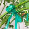 6 Roll 12/24mm Plant Tie Plant Bandage Garden Plant Support Tape Gardening Fastener Tape for Home Garden Accessories