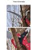 Telescopic High-Altitude Branch Lopper with Pulley, Long Handle Saw & Pruning Shears for Garden & Tree Maintenance.