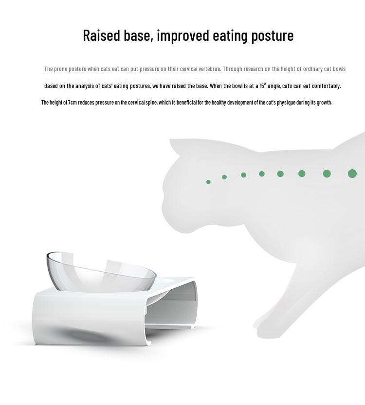 Pet Cat & Dog Transparent Double Bowl - Angled Food & Water Feeder with Neck Protection