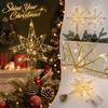 Christmas Tree Topper Star Light with Glitter, 5-, Wire - 2234 Cm