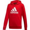 adidas Grade School Sweatshirts Hooded Moderate ED6494