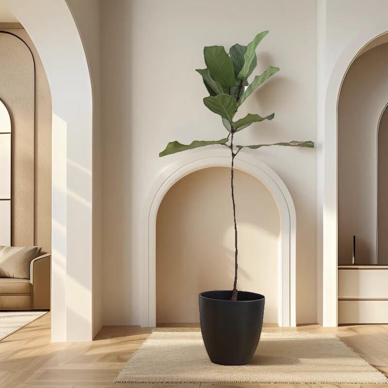 Maididuo Simple Ceramic Flower Pot