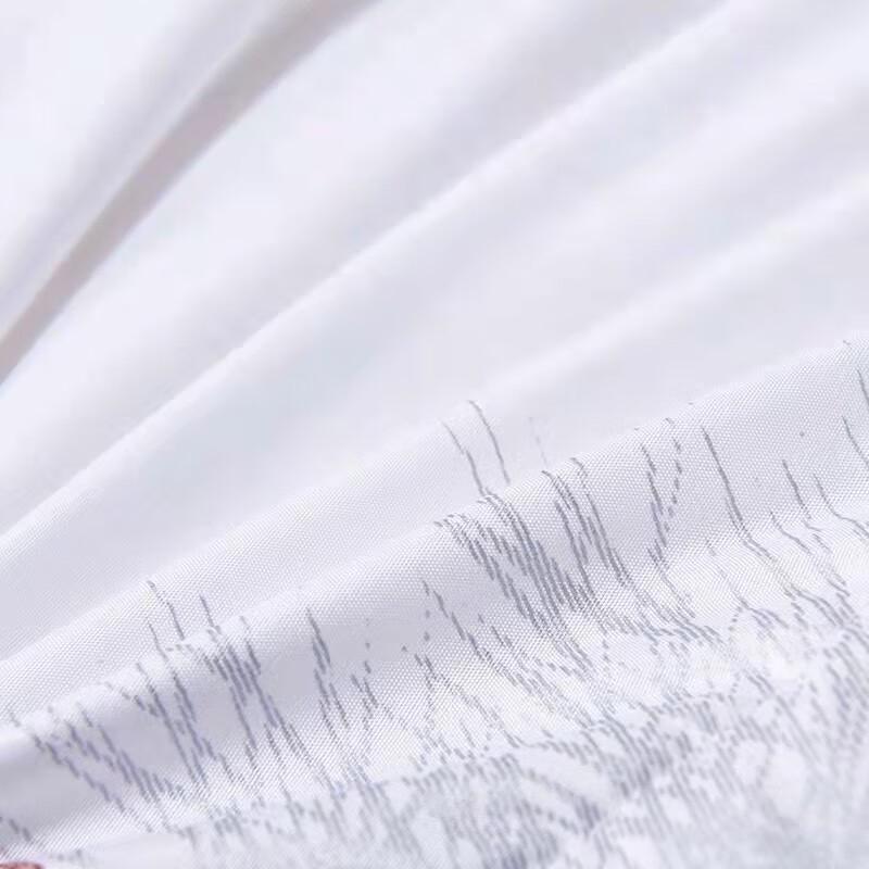 Yalan Antibacterial Wool Winter Quilt