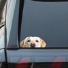 2 Cute Labrador Vinyl Stickers Are Suitable for Smooth Surfaces